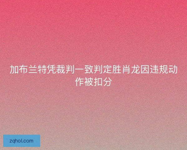 加布兰特凭裁判一致判定胜肖龙因违规动作被扣分